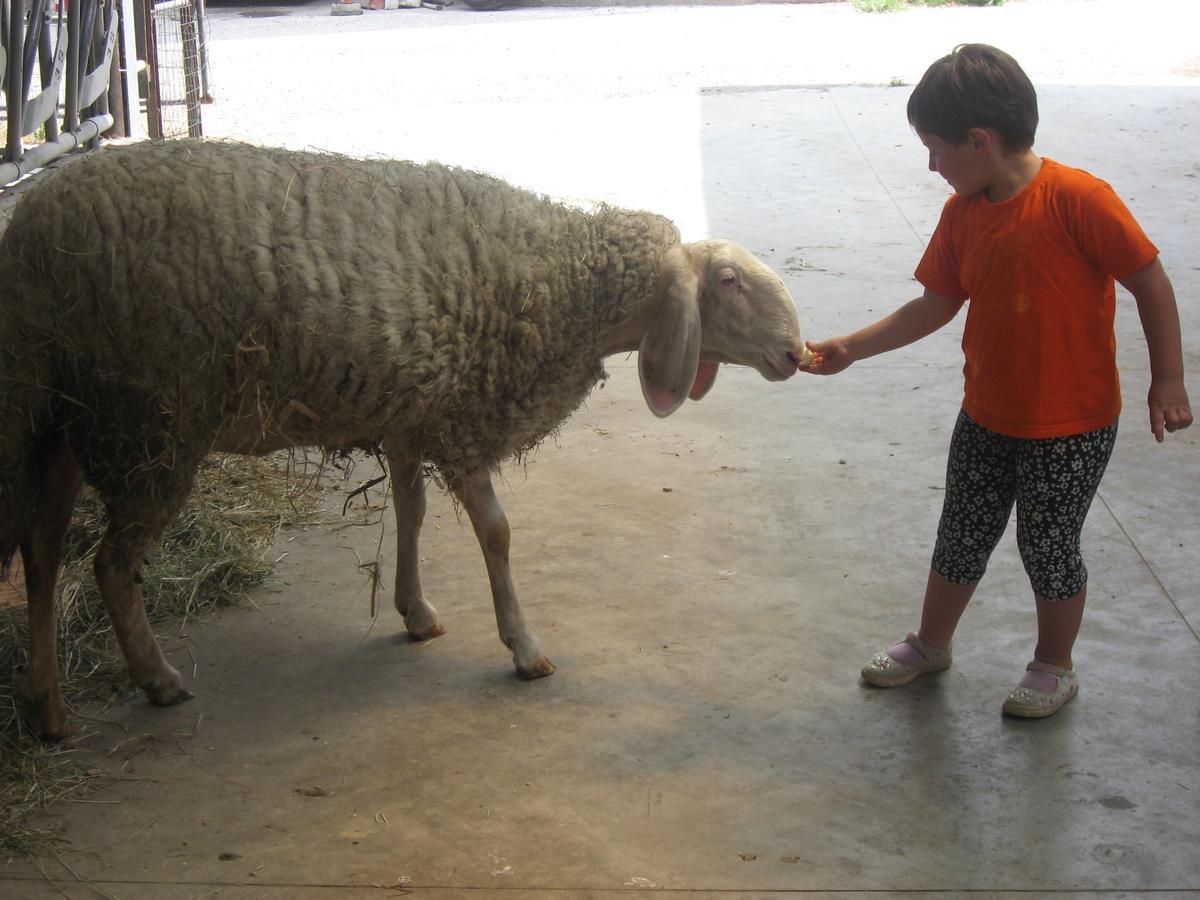 Agriturismo Le Risaie Basiglio Ngoại thất bức ảnh